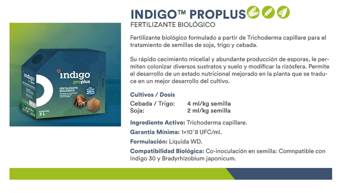 Site mockup indigo proplus copy